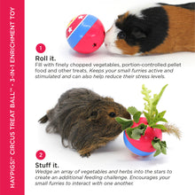 Load image into Gallery viewer, HayPigs!® Circus Treat Ball™ - 3-in-1 Enrichment Toy