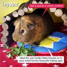 Load image into Gallery viewer, HayPigs!® Circus Pee Pads - Pack of 2