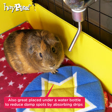 Load image into Gallery viewer, HayPigs!® Circus Pee Pads - Pack of 2