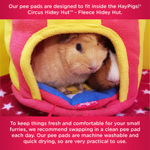 Load image into Gallery viewer, HayPigs!® Circus Pee Pads - Pack of 2