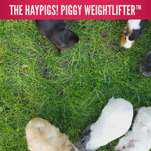 Load and play video in Gallery viewer, HayPigs!® Piggy Weightlifter™ - Vegetable Kebab Maker
