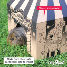 Load image into Gallery viewer, HayPigs!® 'Pig Top' Playhouse™ - Pack of 3