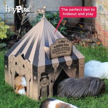Load image into Gallery viewer, HayPigs!® 'Pig Top' Playhouse™ - Pack of 3