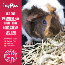 Load image into Gallery viewer, HayPigs!® 100% Timothy Hay 1Kg