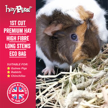 Load image into Gallery viewer, (x8) HayPigs!® 100% Timothy Hay 1Kg
