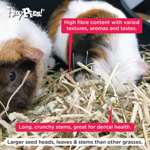 Load image into Gallery viewer, (x8) HayPigs!® 100% Timothy Hay 1Kg