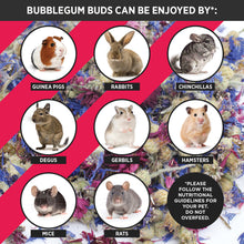 Load image into Gallery viewer, HayPigs!® Bubblegum Buds™ (100g) in Eco Refill Bag