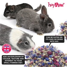 Load image into Gallery viewer, HayPigs!® Bubblegum Buds™ (50g) in Small Collectors Jar