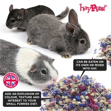 Load image into Gallery viewer, HayPigs!® Bubblegum Buds™ (50g) in Small Collectors Jar