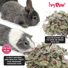 Load image into Gallery viewer, HayPigs!® Fruity Salad Mix™ (90g) in Eco Refill Bag