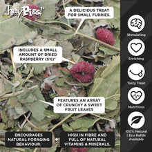 Load image into Gallery viewer, HayPigs!® Fruity Salad Mix™ (90g) in Eco Refill Bag