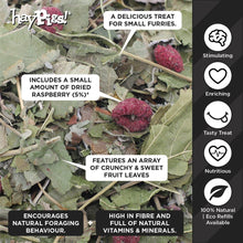 Load image into Gallery viewer, HayPigs!® Fruity Salad Mix™ (90g) in Eco Refill Bag