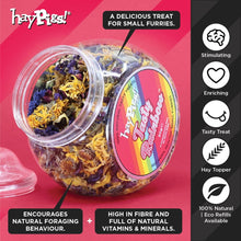 Load image into Gallery viewer, HayPigs!® Tasty Rainbow™ (50g) in Small Collectors Jar