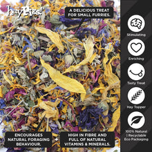 Load image into Gallery viewer, HayPigs!® Tasty Rainbow™ (100g) in Eco Refill Bag