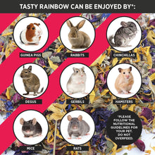 Load image into Gallery viewer, HayPigs!® Tasty Rainbow™ (100g) in Eco Refill Bag