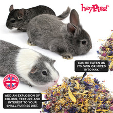 Load image into Gallery viewer, HayPigs!® Tasty Rainbow™ (100g) in Eco Refill Bag