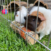 Load image into Gallery viewer, Rosewood Boredom Breaker Natural Treats Double Woodroll