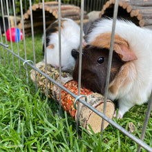 Load image into Gallery viewer, Rosewood Boredom Breaker Natural Treats Double Woodroll