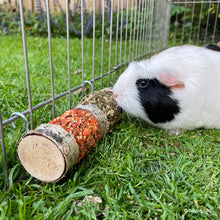 Load image into Gallery viewer, BUNDLE OFFER: Gnaw 'n' Nibble Boredom Breaker Bundle