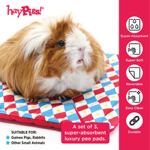 Load image into Gallery viewer, HayPigs!® Harlequin Collection - Reversible Pads™ - Set of 3