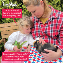 Load image into Gallery viewer, HayPigs!® Harlequin Collection - Reversible Pads™ - Set of 3