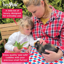 Load image into Gallery viewer, HayPigs!® Harlequin Collection - Reversible Pads™ - Set of 3