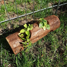 Load image into Gallery viewer, Trixie Natural Living Forage & Hay Holder