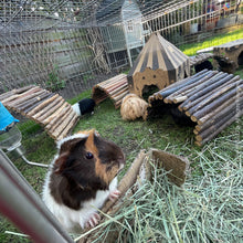 Load image into Gallery viewer, Trixie Natural Living Flexible Bark Wood Bridge - Large