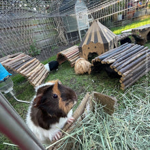 Load image into Gallery viewer, Trixie Natural Living Flexible Bark Wood Bridge - Large