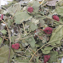 Load image into Gallery viewer, HayPigs!® Fruity Salad Mix™ (90g) in Eco Refill Bag