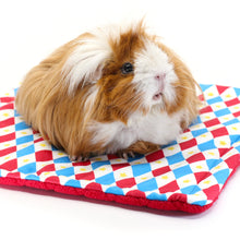 Load image into Gallery viewer, HayPigs!® Harlequin Collection - Reversible Pads™ - Set of 3