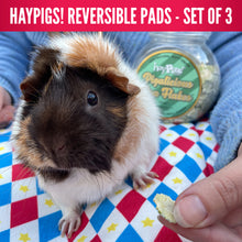 Load and play video in Gallery viewer, HayPigs!® Harlequin Collection - Reversible Pads™ - Set of 3