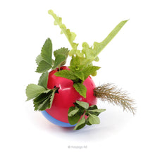 Load image into Gallery viewer, HayPigs!® Circus Treat Ball™ - 3-in-1 Enrichment Toy