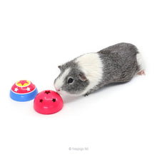 Load image into Gallery viewer, TREAT BUNDLE 2: HayPigs!® Circus Treat Ball™ Bundle - Variety