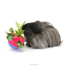 Load image into Gallery viewer, HayPigs!® Circus Treat Ball™ - 3-in-1 Enrichment Toy