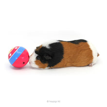 Load image into Gallery viewer, TREAT BUNDLE 1: HayPigs!® Circus Treat Ball™ Bundle - Pea Flakes