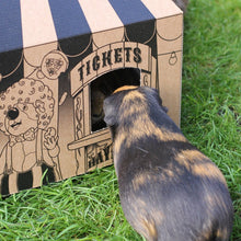 Load image into Gallery viewer, HayPigs!® 'Pig Top' Playhouse™ - Pack of 3