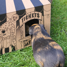 Load image into Gallery viewer, HayPigs!® 'Pig Top' Playhouse™ - Pack of 3