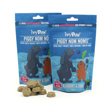 Load image into Gallery viewer, HayPigs!® Piggy Nom Noms™ - Blueberry & Basil 70g