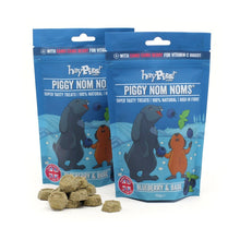 Load image into Gallery viewer, HayPigs!® Piggy Nom Noms™ - Blueberry & Basil 70g