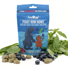 Load image into Gallery viewer, HayPigs!® Piggy Nom Noms™ - Blueberry &amp; Basil 70g
