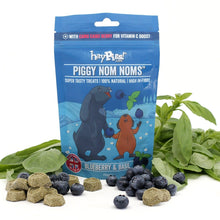 Load image into Gallery viewer, HayPigs!® Piggy Nom Noms™ - Blueberry & Basil 70g