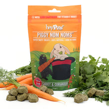 Load image into Gallery viewer, HayPigs!® Piggy Nom Noms™ - Carrot & Coriander 70g