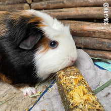 Load image into Gallery viewer, Little One Meadow Grass Stick with Topping - 3 Pack (Carrot, Marigold, Rose Petals)