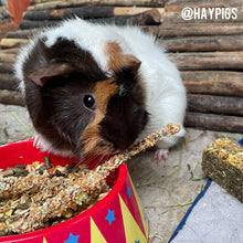 Load image into Gallery viewer, Little One Yummy Branches with Parsnip and Pumpkin Snack 35g