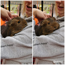 Load image into Gallery viewer, HayPigs!® Pig. T. Barnum™ Unisex Hoodie