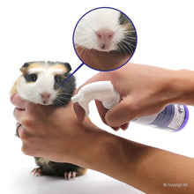 Load image into Gallery viewer, Leucillin Antiseptic Skincare - 50ml Dropper / 150ml Spray