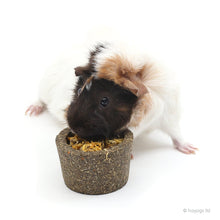 Load image into Gallery viewer, Little One Flower Bowl Treat Toy 120g