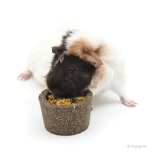 Load image into Gallery viewer, BUNDLE OFFER: 'Sunshine Treats' Bundle