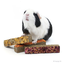 Load image into Gallery viewer, BUNDLE OFFER: Gnaw 'n' Nibble Boredom Breaker Bundle